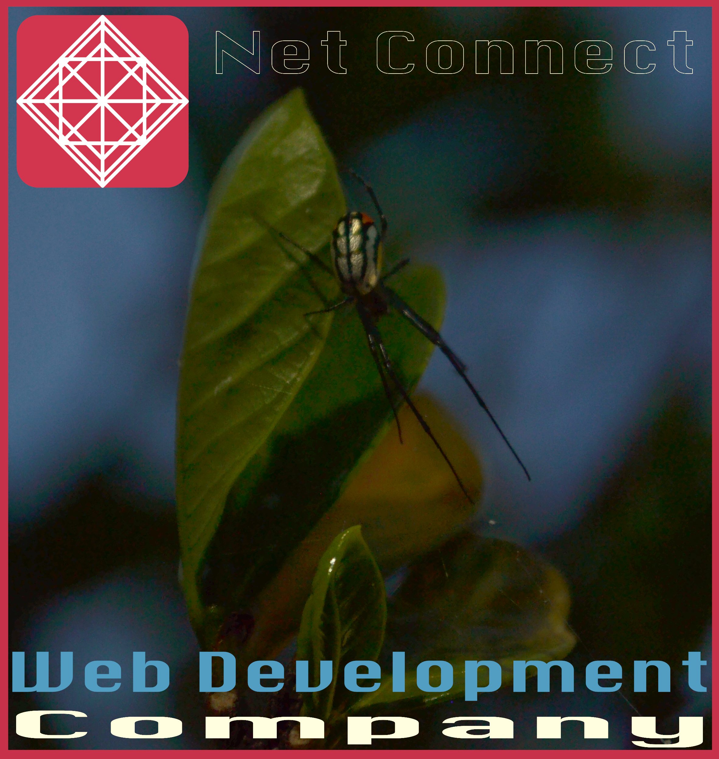 Net Connect